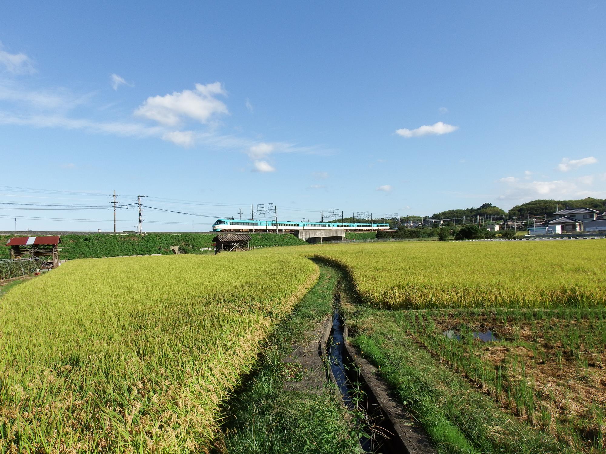 JR西 283系くろしお1号