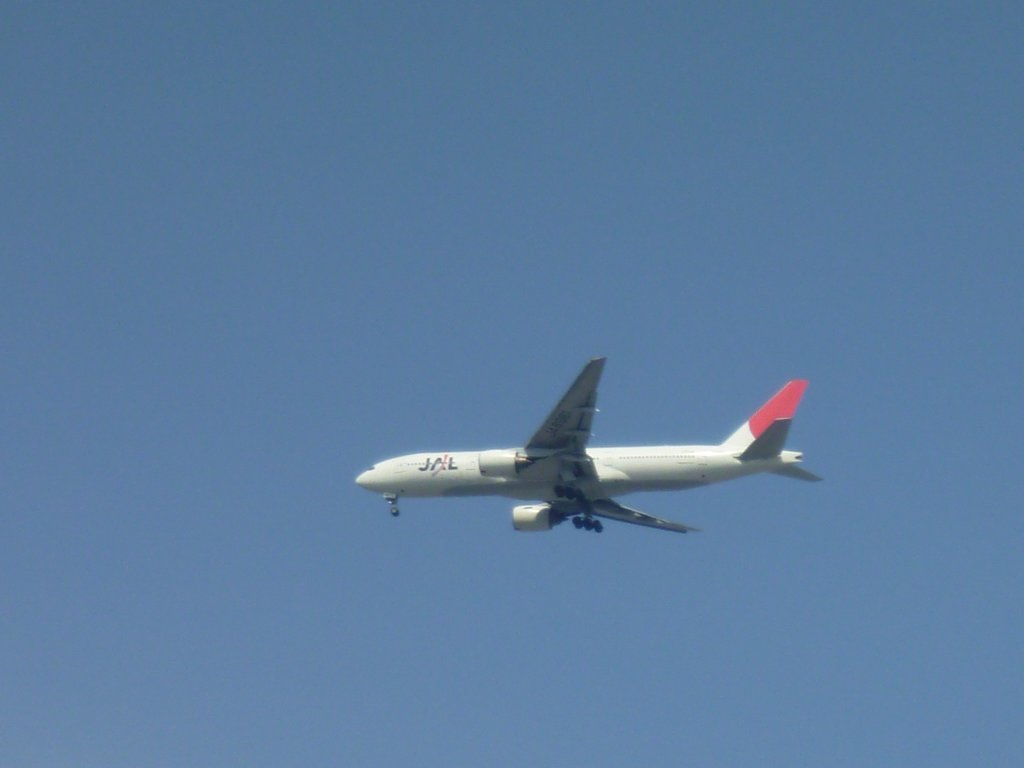 p1000069